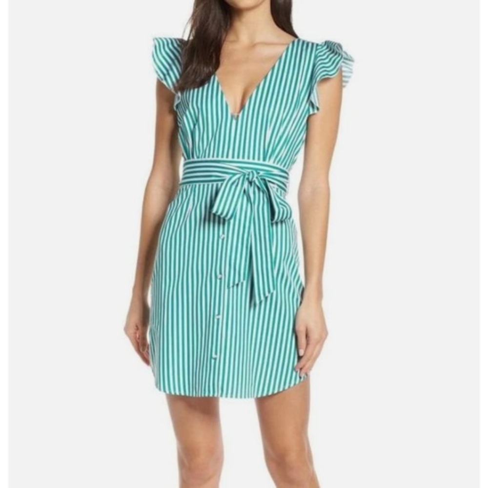 BB Dakota Peppermint Stripe Dress